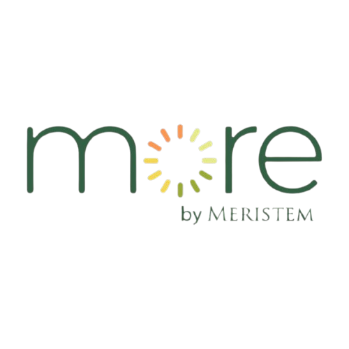 MORE